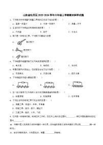 山东省菏泽市牡丹区2023-2024学年六年级上学期期末科学试题