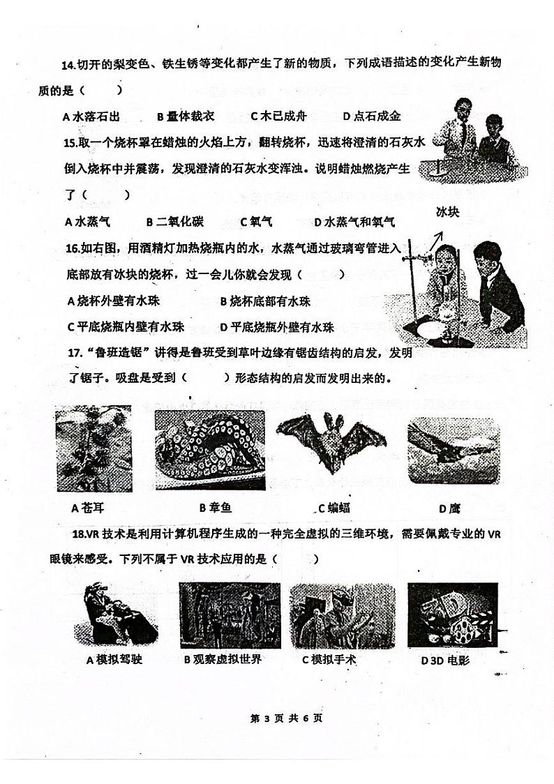 山东省青岛市莱西市2023-2024学年四年级下学期7月期末科学试题03