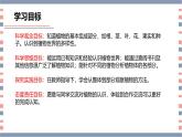 【核心素养】青岛版科学三年级上册 2.5 植物的“身体”（教学课件+同步教案）
