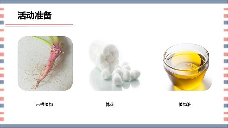 【核心素养】青岛版科学三年级上册 2.6 植物的根（教学课件）第6页