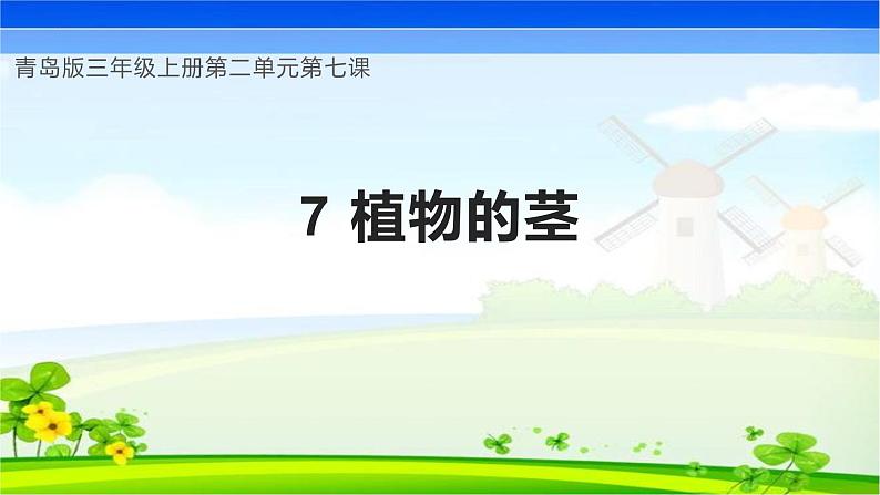 【核心素养】青岛版科学三年级上册 2.7 植物的茎（教学课件+同步教案）01