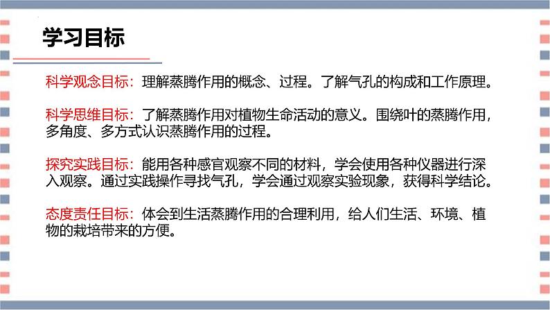 【核心素养】青岛版科学三年级上册 2.8 叶的蒸腾作用（教学课件+同步教案）04