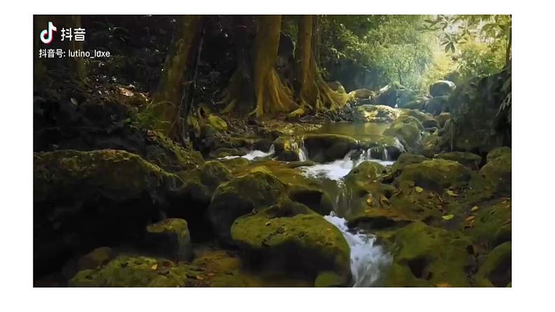 【核心素养】青岛版科学三年级上册 2.8 叶的蒸腾作用（教学课件+同步教案）08