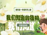 【核心素养】教科版科学一年级上册 1.1 我们知道的植物（教学课件+同步教案）
