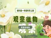 【核心素养】教科版科学一年级上册 1.2 观察植物（教学课件+同步教案）