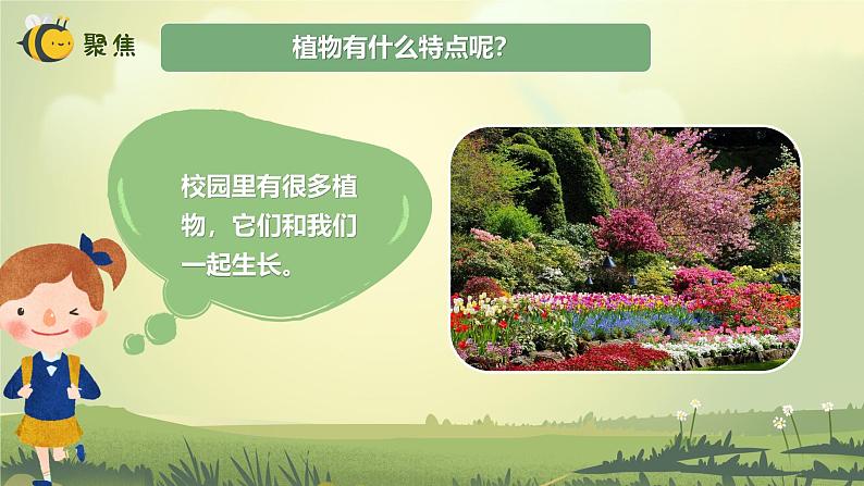 【核心素养】教科版科学一年级上册 1.2 观察植物（教学课件+同步教案）03