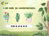 【核心素养】教科版科学一年级上册 1.2 观察植物（教学课件+同步教案）