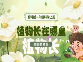 【核心素养】教科版科学一年级上册 1.3 植物长在哪里（教学课件+同步教案）