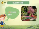 【核心素养】教科版科学一年级上册 1.3 植物长在哪里（教学课件+同步教案）
