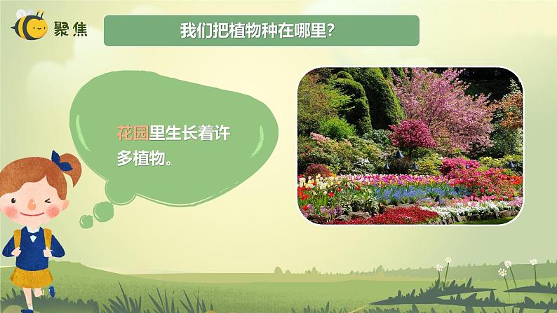 【核心素养】教科版科学一年级上册 1.3 植物长在哪里（教学课件+同步教案）03