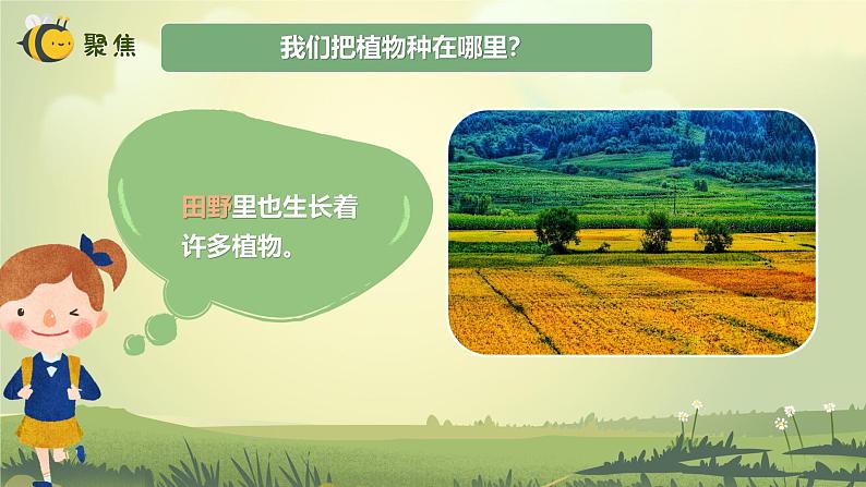 【核心素养】教科版科学一年级上册 1.3 植物长在哪里（教学课件+同步教案）04