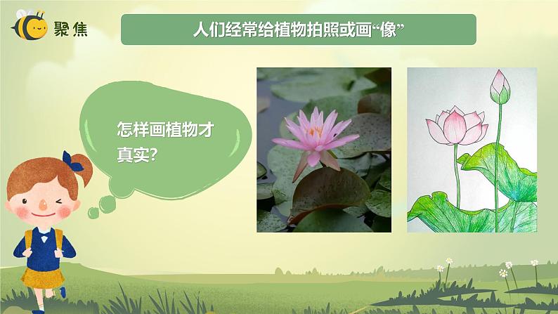 【核心素养】教科版科学一年级上册 1.4 给植物画张“像”（教学课件+同步教案）03