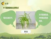 【核心素养】教科版科学一年级上册 1.4 给植物画张“像”（教学课件+同步教案）