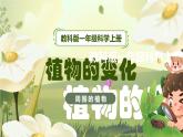 【核心素养】教科版科学一年级上册 1.5 植物的变化（教学课件+同步教案）