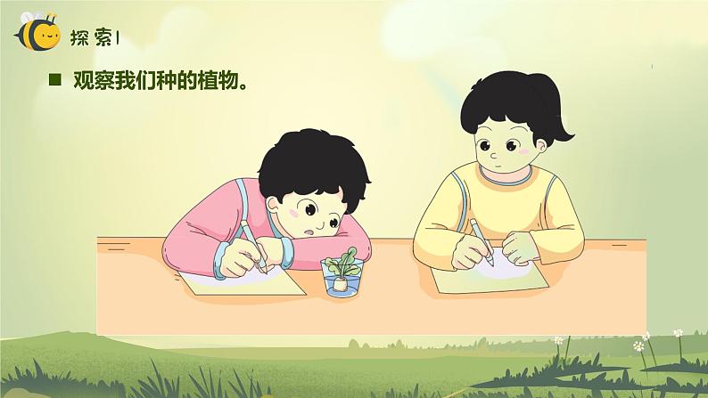 【核心素养】教科版科学一年级上册 1.5 植物的变化（教学课件+同步教案）04