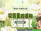 【核心素养】教科版科学一年级上册 1.6 校园里的植物（教学课件+同步教案）
