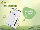【核心素养】教科版科学一年级上册 1.6 校园里的植物（教学课件+同步教案）