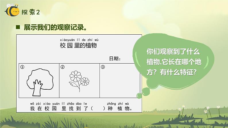 【核心素养】教科版科学一年级上册 1.6 校园里的植物（教学课件+同步教案）08