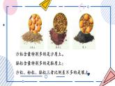 【核心素养】苏教版科学三年级上册 2.5 土壤的类型（教学课件+同步教案）