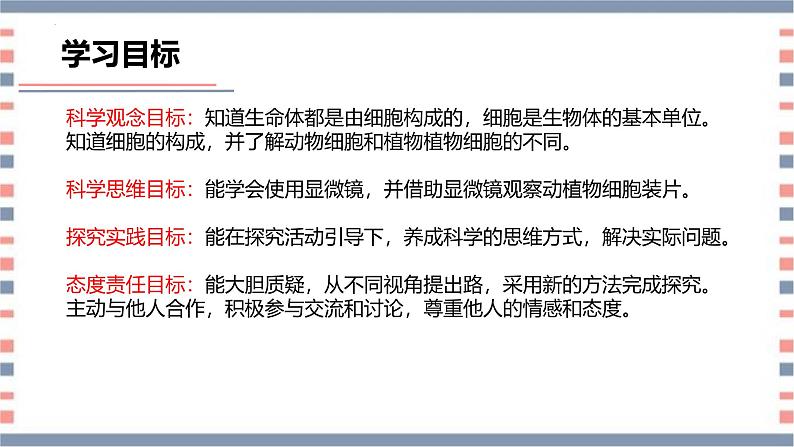 【核心素养】青岛版科学六年级上册 1.1 细胞（教学课件+同步教案）04