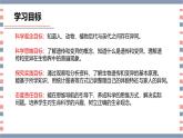 【核心素养】青岛版科学六年级上册 1.2 像与不像（教学课件+同步教案）