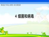 【核心素养】青岛版科学六年级上册 2.4 细菌和病毒（教学课件+同步教案）
