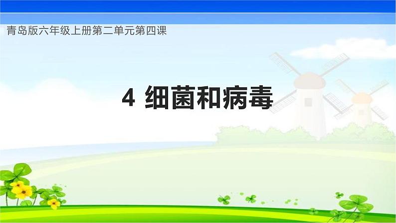 【核心素养】青岛版科学六年级上册 2.4 细菌和病毒（教学课件）第1页