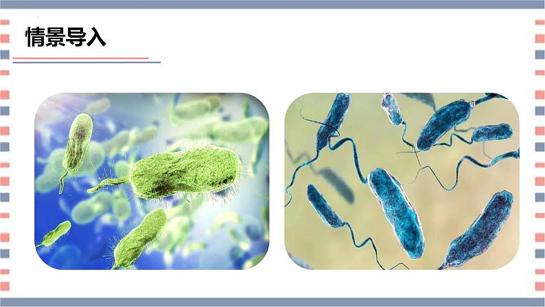 【核心素养】青岛版科学六年级上册 2.4 细菌和病毒（教学课件）第8页