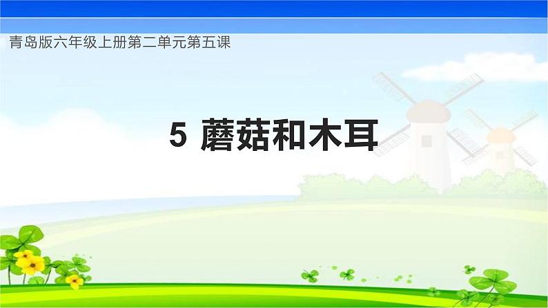 【核心素养】青岛版科学六年级上册 2.5 蘑菇和木耳（教学课件+同步教案）01