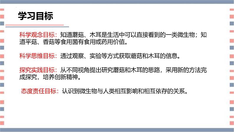 【核心素养】青岛版科学六年级上册 2.5 蘑菇和木耳（教学课件+同步教案）04