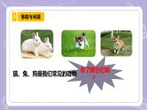 【核心素养】青岛版科学四年级上册 1.4 哺乳动物（教学课件+同步教案）