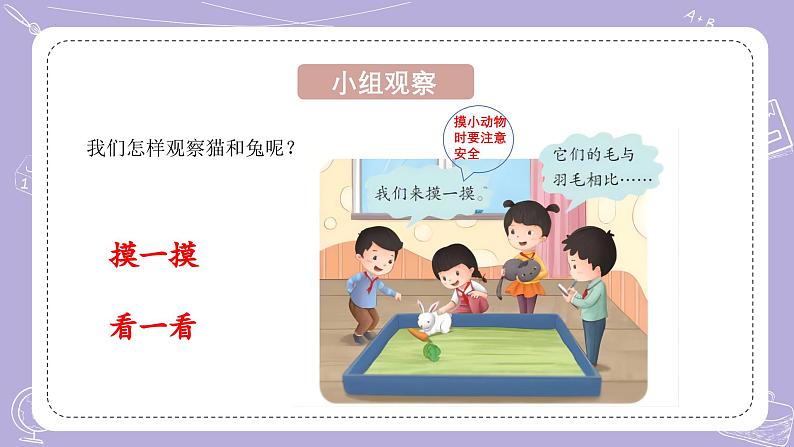 【核心素养】青岛版科学四年级上册 1.4 哺乳动物（教学课件+同步教案）06