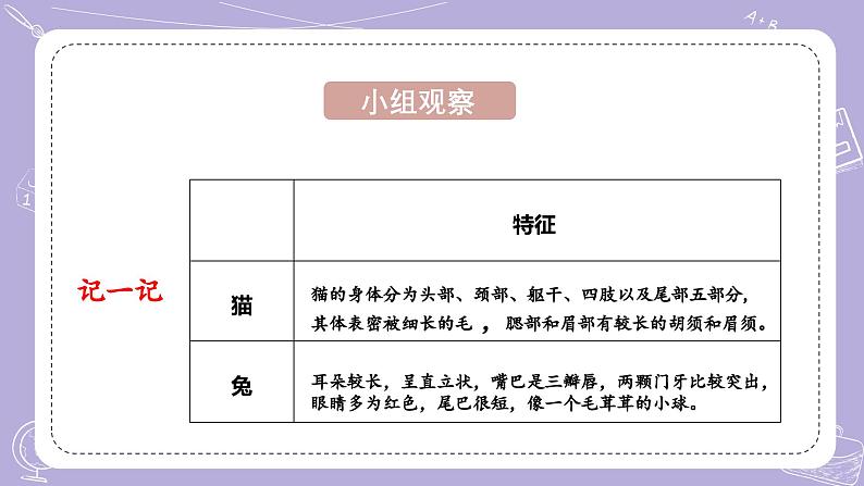 【核心素养】青岛版科学四年级上册 1.4 哺乳动物（教学课件+同步教案）07