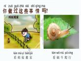 【核心素養(yǎng)】蘇教版科學一年級上冊 1.1 小小科學家（教學課件+同步教案）
