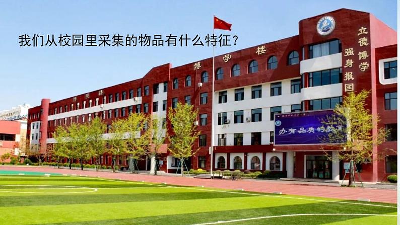 （2024）新版湘科版科学一年级上册（7）大自然中的发现-PPT课件04