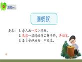 小学科学新大象版一年级上册体验单元《画蚂蚁》教学课件（2024秋）