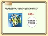 【湘科版】一上科學(xué)  2.7《大自然中的發(fā)現(xiàn)》課件+教案+素材