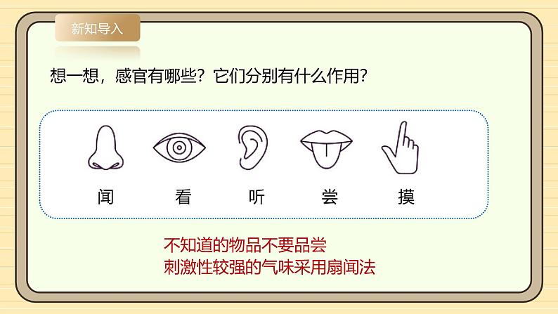 【湘科版】一上科学  2.7《大自然中的发现》课件+教案+素材06