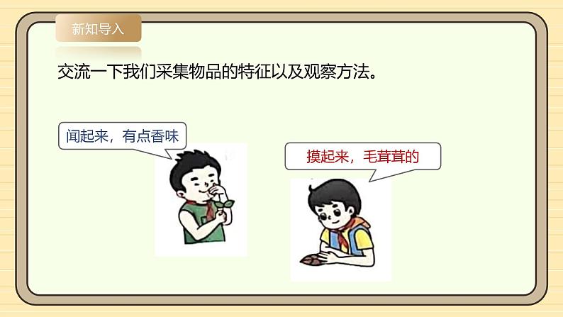 【湘科版】一上科学  2.7《大自然中的发现》课件+教案+素材07