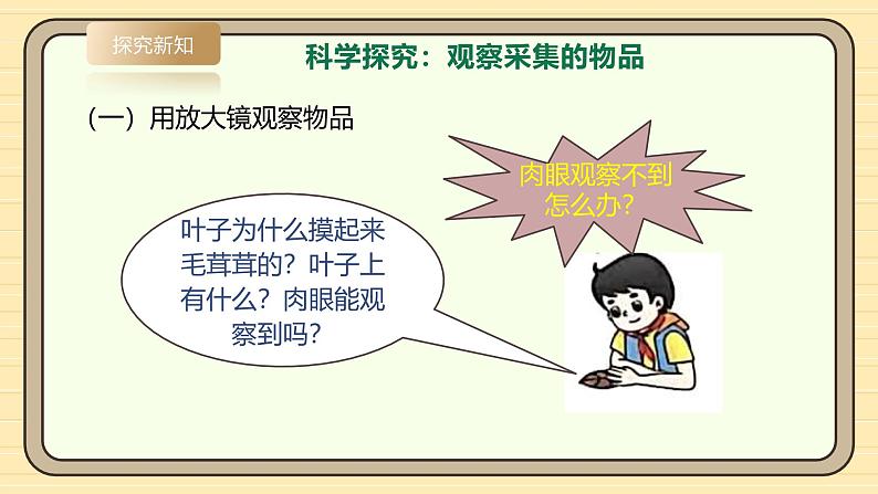 【湘科版】一上科学  2.7《大自然中的发现》课件+教案+素材08