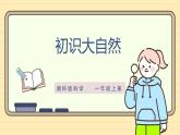 【湘科版】一上科学  2.5《初识大自然》课件+教案+素材