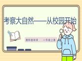 【湘科版】一上科學(xué)  2.6《考察大自然——從校園開始》課件+教案