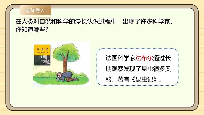 【湘科版】一上科学  2.6《考察大自然——从校园开始》课件+教案05