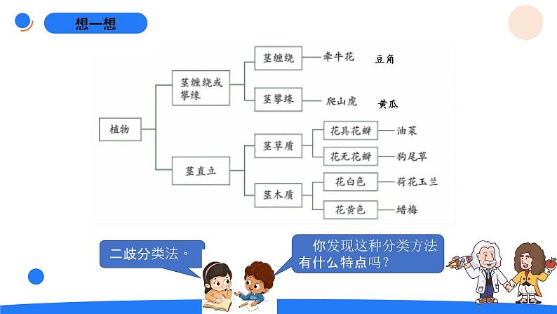 湘科版科学（2017）六年级上册--1.1阳光下的植物（课件+教案）03