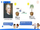 湘科版科学（2017）六年级上册--1.1阳光下的植物（课件+教案）