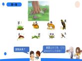 湘科版科学（2017）六年级上册--1.2从吃与被吃说起（课件+教案）
