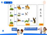 湘科版科学（2017）六年级上册--1.2从吃与被吃说起（课件+教案）