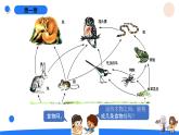 湘科版科学（2017）六年级上册--1.2从吃与被吃说起（课件+教案）