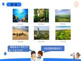 湘科版科学（2017）六年级上册--1.2从吃与被吃说起（课件+教案）