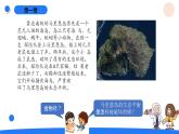 湘科版科学（2017）六年级上册--1.3保持生态平衡（课件+教案）